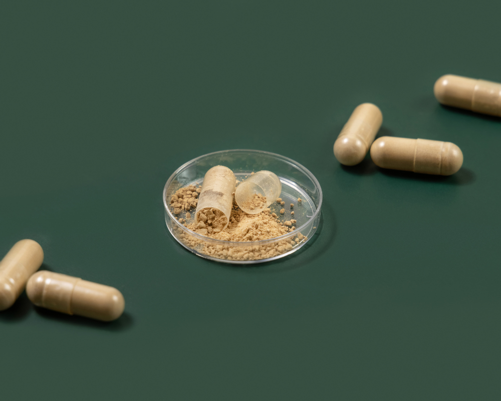 Gut Health & Digestion